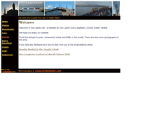 Tablet Screenshot of dunlaoire.com